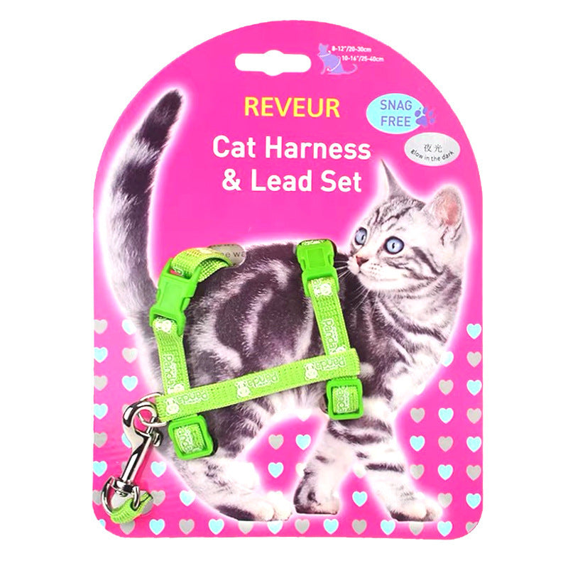 Pawlio glowing kitty safety harness with adjustable straps and reflective features for secure outdoor walks.