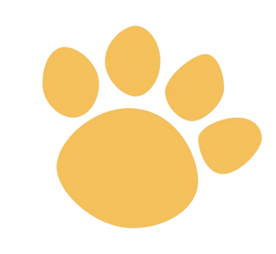 Pawlio 🐾