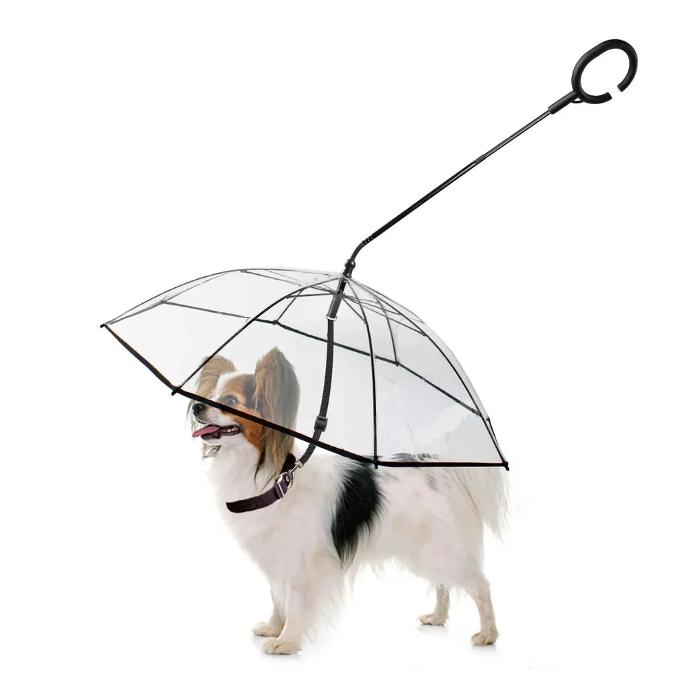 Pawlio™ Stylish Dog Umbrella providing waterproof rain protection for small to medium-sized dogs during walks.